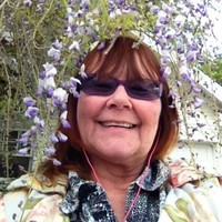 Paula Dow