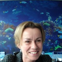 ineke vt hullenaar