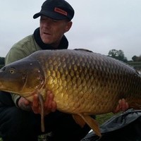 Ant Edwards