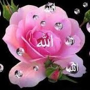 Zarin Shaikh