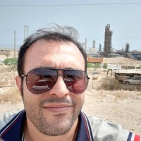 majid elijani