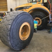 Walter Bleuler Gummi Walti