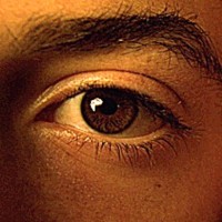 DAVID JOEL