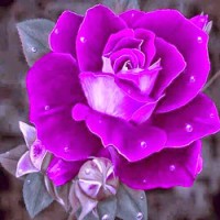 Sue Ofloy