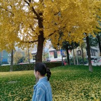 Daisy zhao