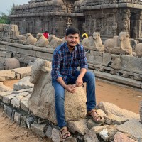 Veerapandian P