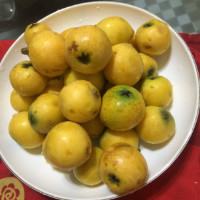 代东坡