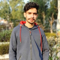 Hammad Tariq