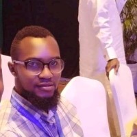 Segun Olowolekomo