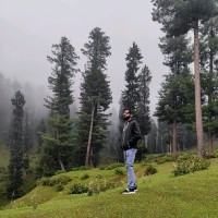 Sherjeel Malik