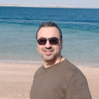 Amir Heydari