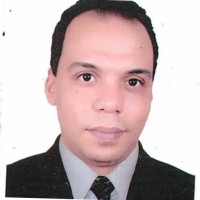 Mohamed Hassan