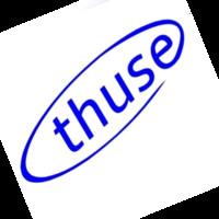 Thuse Elektronics P. Ltd
