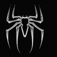 Spider Web