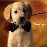 Love Man