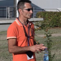 Raffaele De Ritis