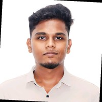 Raveendar N