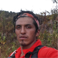Andres A. Fernández Torres