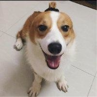胡凡凡