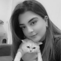 Sameen Ahmed