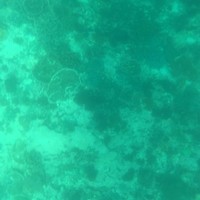 陈一民