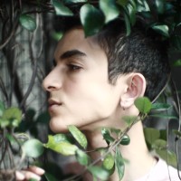 Mehdi Nidae