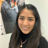 Gabriela Torres Almeida