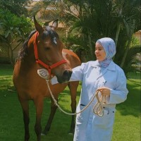 Heba Eid