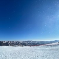 杨慧晶(YANG Huijing)Michelle Yang