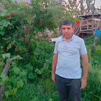 Osman Kanbur