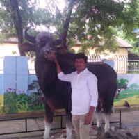Bttl Kadam Kadam