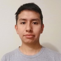 Luis David Jesús Baltazar Segura