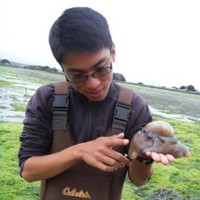 Daniel Yim