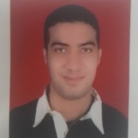 Hussein H. Ismail