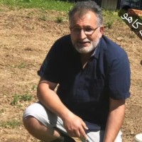 Mehran Haddadi