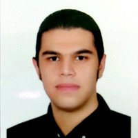 Sahand Etedali
