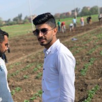 Ali Abo Elmagd