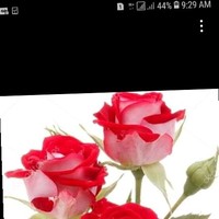 Ruben Gonzalo Cucul Cuc