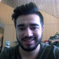 Martin Vieira