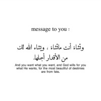 محمد المصرى