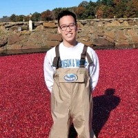 Curtis Gong