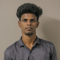 Dhinakaran P