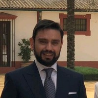 Vicente Luis Moreno Mora