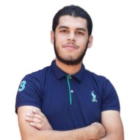 Mahmoud Alminshawy