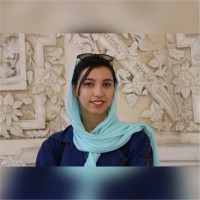 Parisa Davoudi