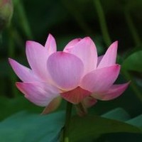 周大福