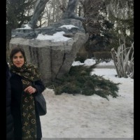 Shadi Hariri