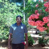 Siva Paranirupasingam
