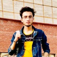 Ali Hamza