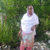 Nabila Khan